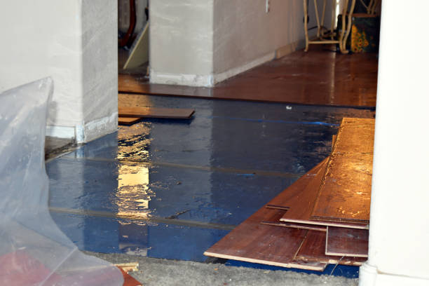 Professional Basement Flood Cleanup technician working in Belmore, OH